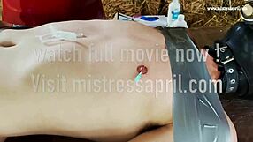 mistress april, bind me in your rosen garden and fuck my holes deep!