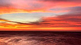 mistress april, bind me in your rosen garden and fuck my holes deep!