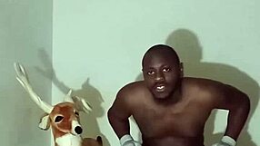 more ways to flaunt zodiac patience minus the solo play