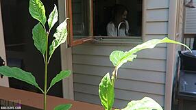 Nikki bends over doggystyle getting fucked her big boobs bouncing wildly