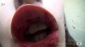 dog sniffs girl then drinks her piss and she pees back??