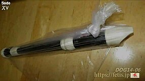 dog sniffs girl then drinks her piss and she pees back??