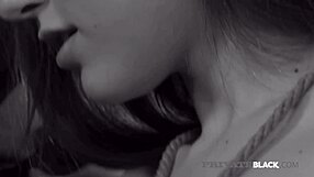 imagine sasha grey bound in bdsm taking bbc deepthroat and doggystyle