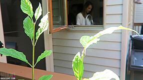 Nikki bends over doggystyle getting fucked her big boobs bouncing wildly