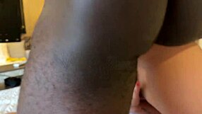 Big black cock bbc pounds my wet brazilian milf pussy doggystyle to the bottom lover