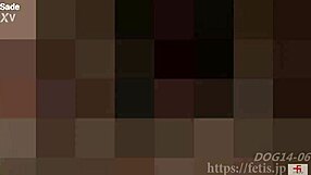 dog sniffs girl then drinks her piss and she pees back??