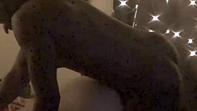 Gorilla bbc slams deep hard doggy interracial pussy wrecking.