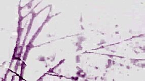 hey aprilbigass your big ass chat got me hooked in 4k 60fps