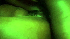 my african black panther bonds intensely with black brother