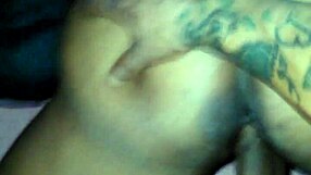 dazion rams big tits babe tapria in hardcore fucking frenzy doggystyle