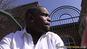 whitney grace spreads for huge black cock deep in her tight ass