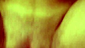 loving evelyn buarque's pretty brazilian pussy