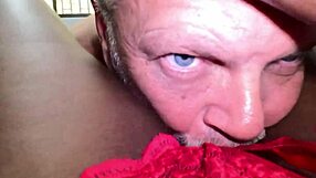 Cougar Diikat Jerit Ayah Jilat Memek Basah Mengalir