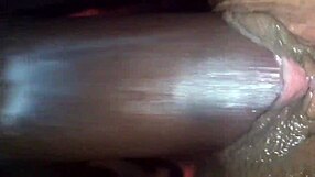 black cock drills deep into pretty pussy close up action