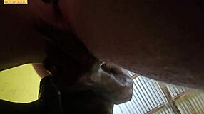 Newbie Blowjob Sparks Bareback Creampie Quest