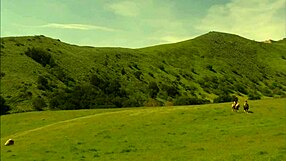 next hell lick my bubble butt smooth then blast a pearl necklace cumshot on me