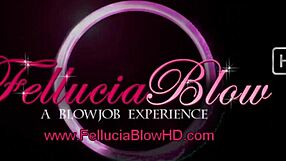 Beautiful Brown Haired Babe Deepthroats For Cumshot Facial