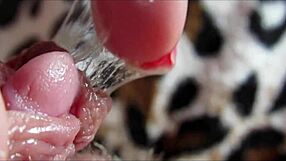 amateur homemade big clit throbs through intense orgasm contractions close-up