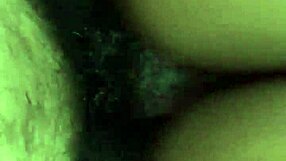 Big cock bareback babe creampie pussy fill