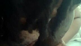 Jill Wettmout's Sloppy Blowjob Ignites Deep Emotional Cravings Close Up