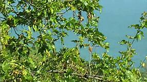 Denise Klarskov hits 18 in casual home clip