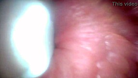 endoscope reveals penis weak spots for ultimate humiliation tease