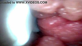 endoscope reveals penis weak spots for ultimate humiliation tease