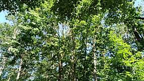 jerking that huge monster cock outdoors explodes cum twice in public