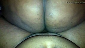 Old friend shows up begging for bareback cock pounding!