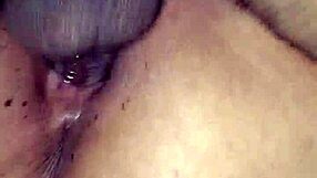 bbw amateur spreads for stranger's huge cock until he explodes inside