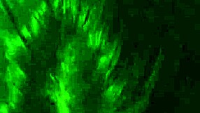 hey babe saw you in kitchen with that big ass couldn't hold back wanna cum on your feet?