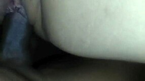 bbc monster cock strokes deep into pretty fat ebony pussy making her moan for more