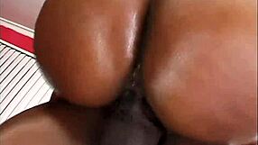 Budonkadunk 18 Heatwave Ebony Milf Oiled Ass Slapped Hard