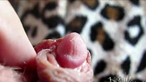 Detailed close-up view of amateur's big clit orgasm in homemade pussy footage