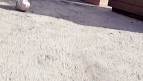 blonde italian lesbians lick wet pussies to intense orgasm using sex toys in stockings