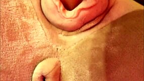 sex doll melina plays intimately with valentino sex doll