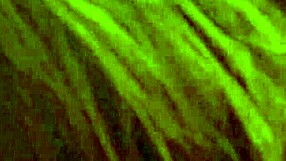 tsbxoda deepthroats brandytopshelf's bwc in bedroom pov