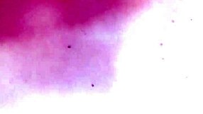 Petite Latina's tight tits shake with orgasms from hardcore creampie after school