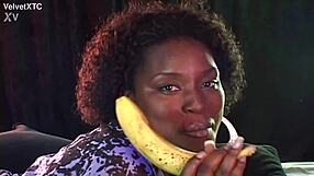 This is the second banana introduction