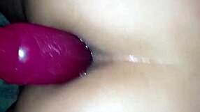 i ram dildo deep in my mexican wife's ass she screams pain df