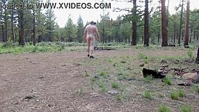 Simscristian05 Update 120 Naked Sheer Flash at Campground Entrance Jul 27