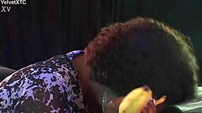 This is the second banana introduction