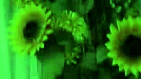 rachel love pussy slammed hard yes!