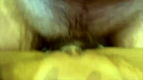 monika fox in homemade pov shoves anal buttplug, fists her ass to prolapse, drinks piss and takes facial