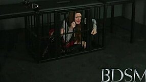 hey this caged sub is figuring out her master's strict anal lessons