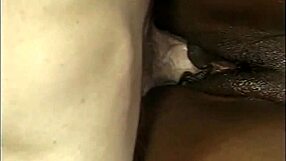 Black Tushy Pink Pussy Pounds Deep with Cumshots and Rides