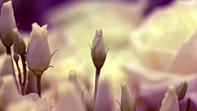 My College Friend Pounds My Tight Pussy Hard in Steamy Romantic Fuck Session!