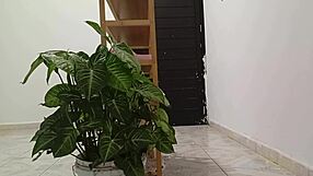 chubby latina neighbor cleans curvy new apartment boldly