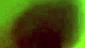 craving to lick bhabhi's juicy indian pussy during intense cunilingus chudai session 😋👅