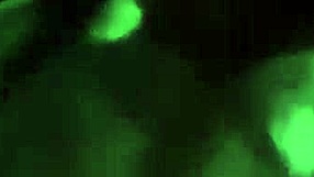 Curvy latina milf with hard tits rides cock then takes doggystyle